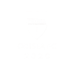 FC Odisea crest